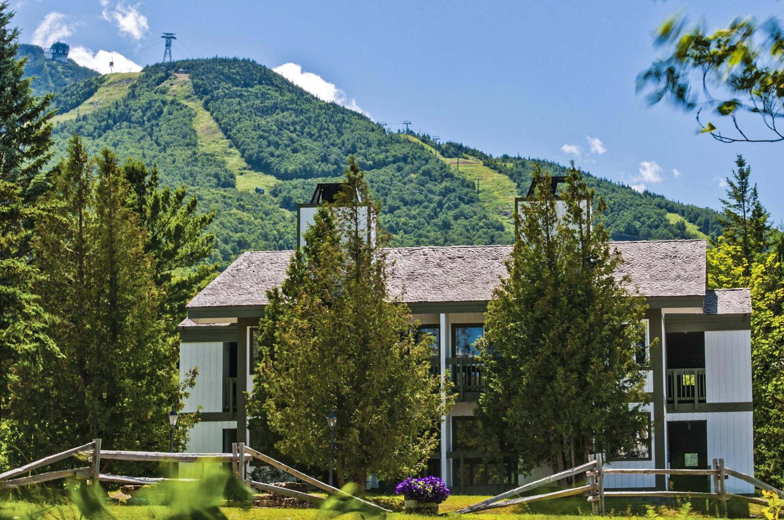 Mountainside Summer