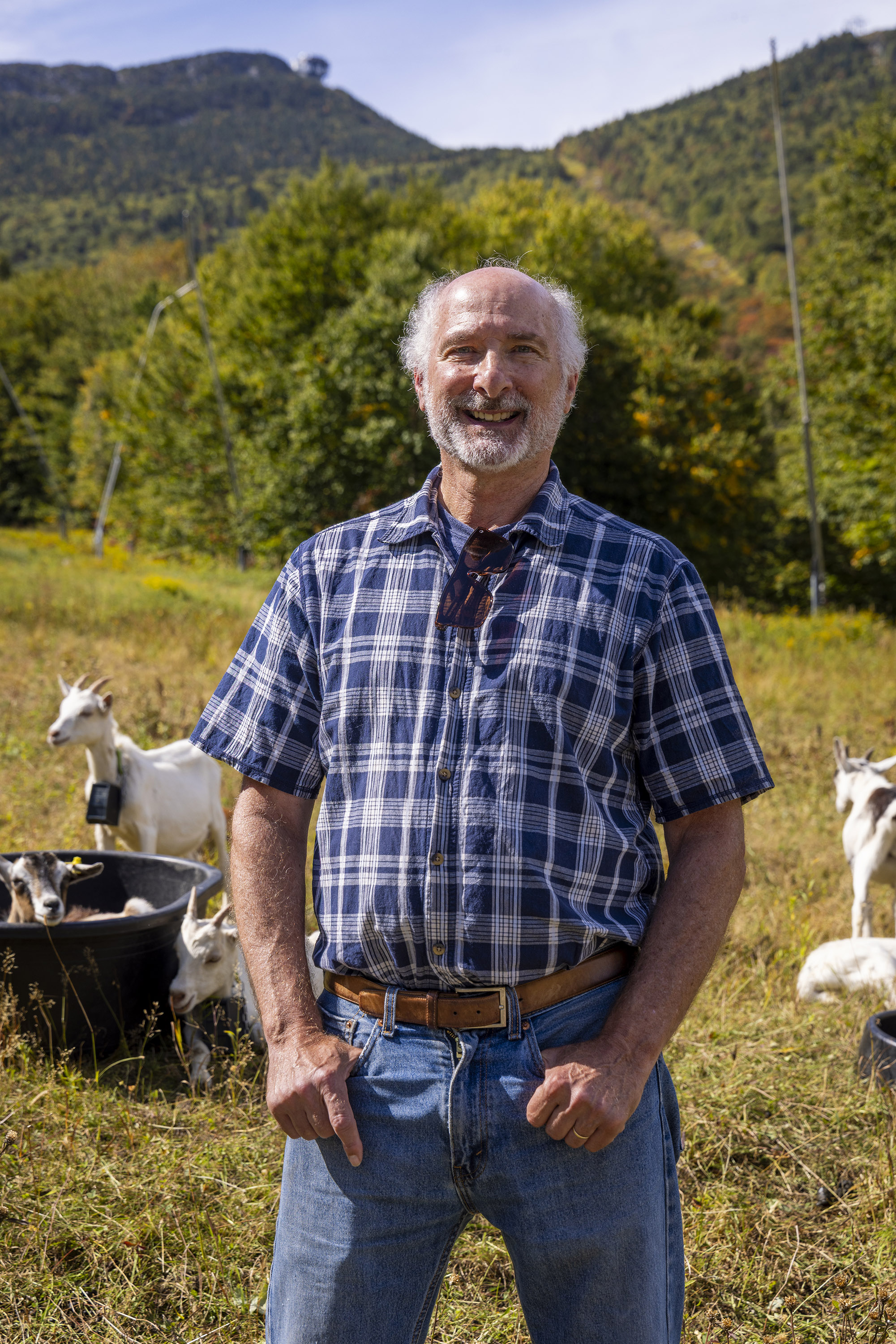 Man standing on the mountain next to goats