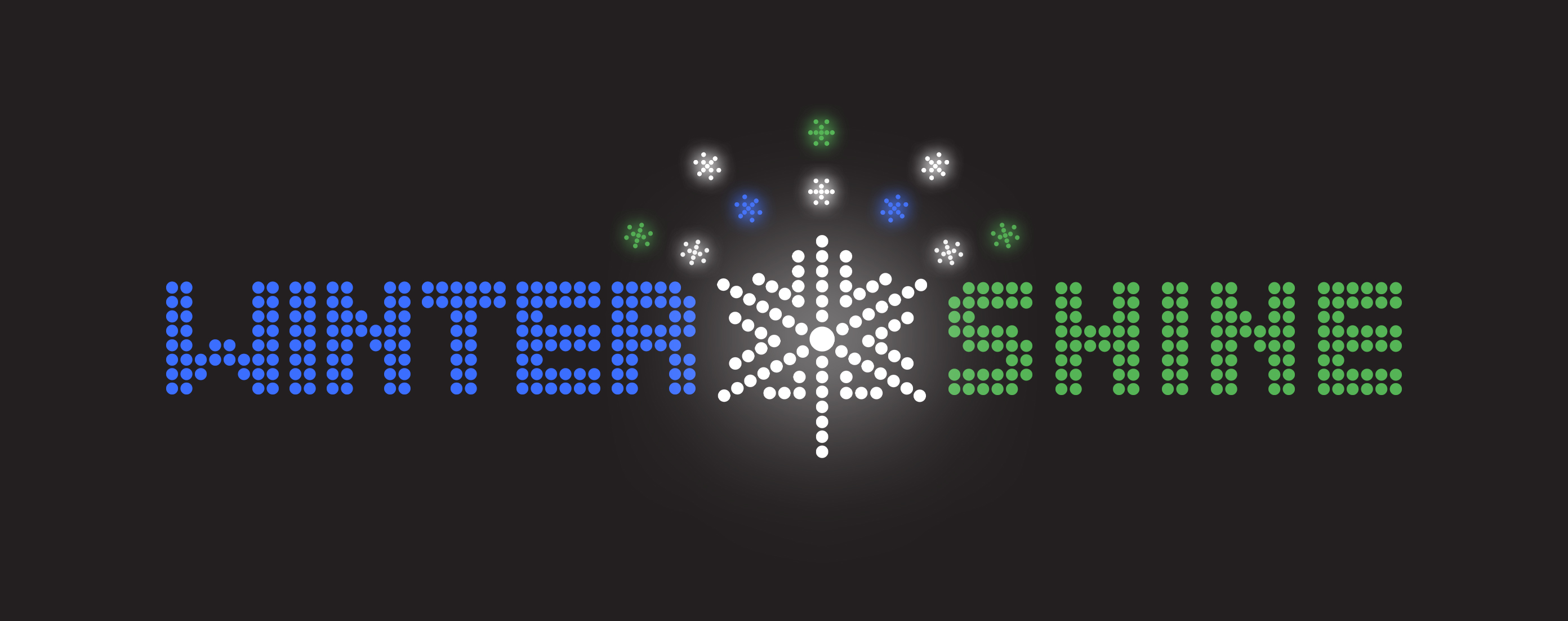 Winter Shine Event Page Logo