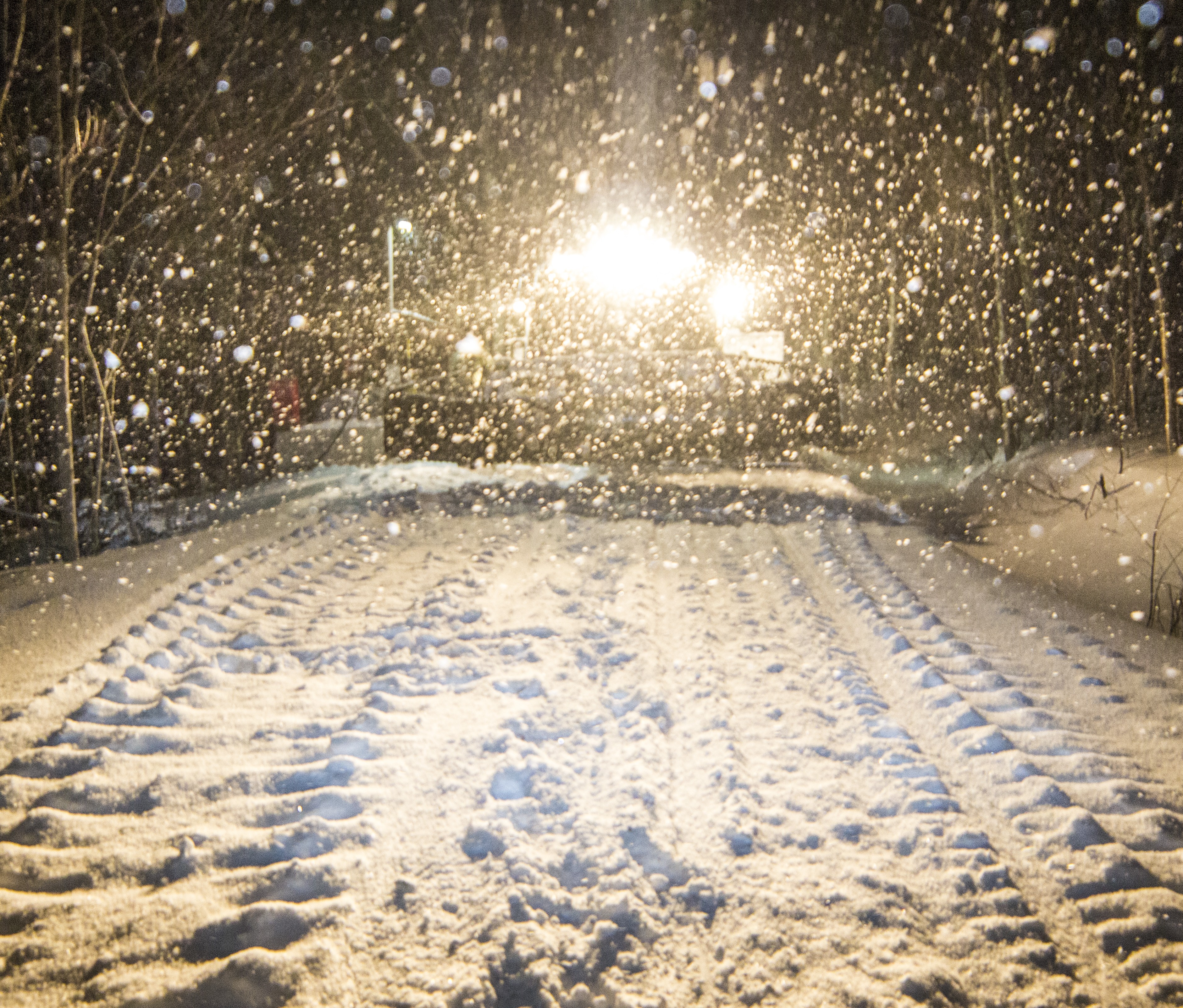 Focal Point Preview Image