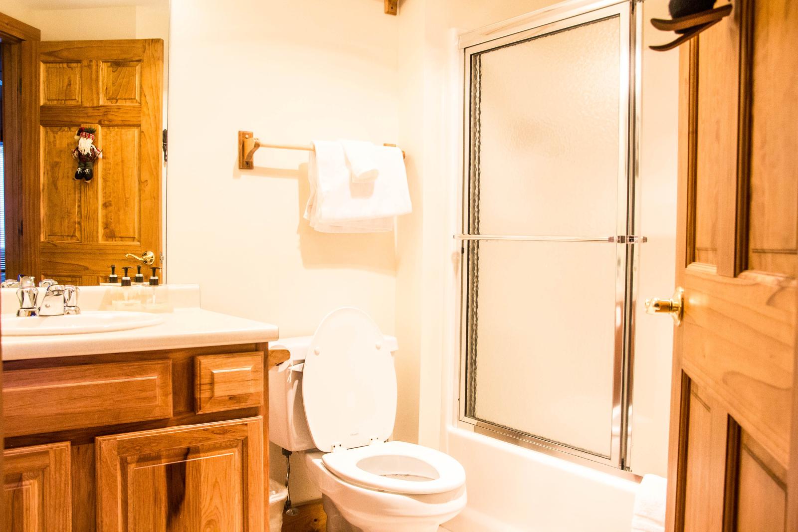 Village Condo 447 Bathroom