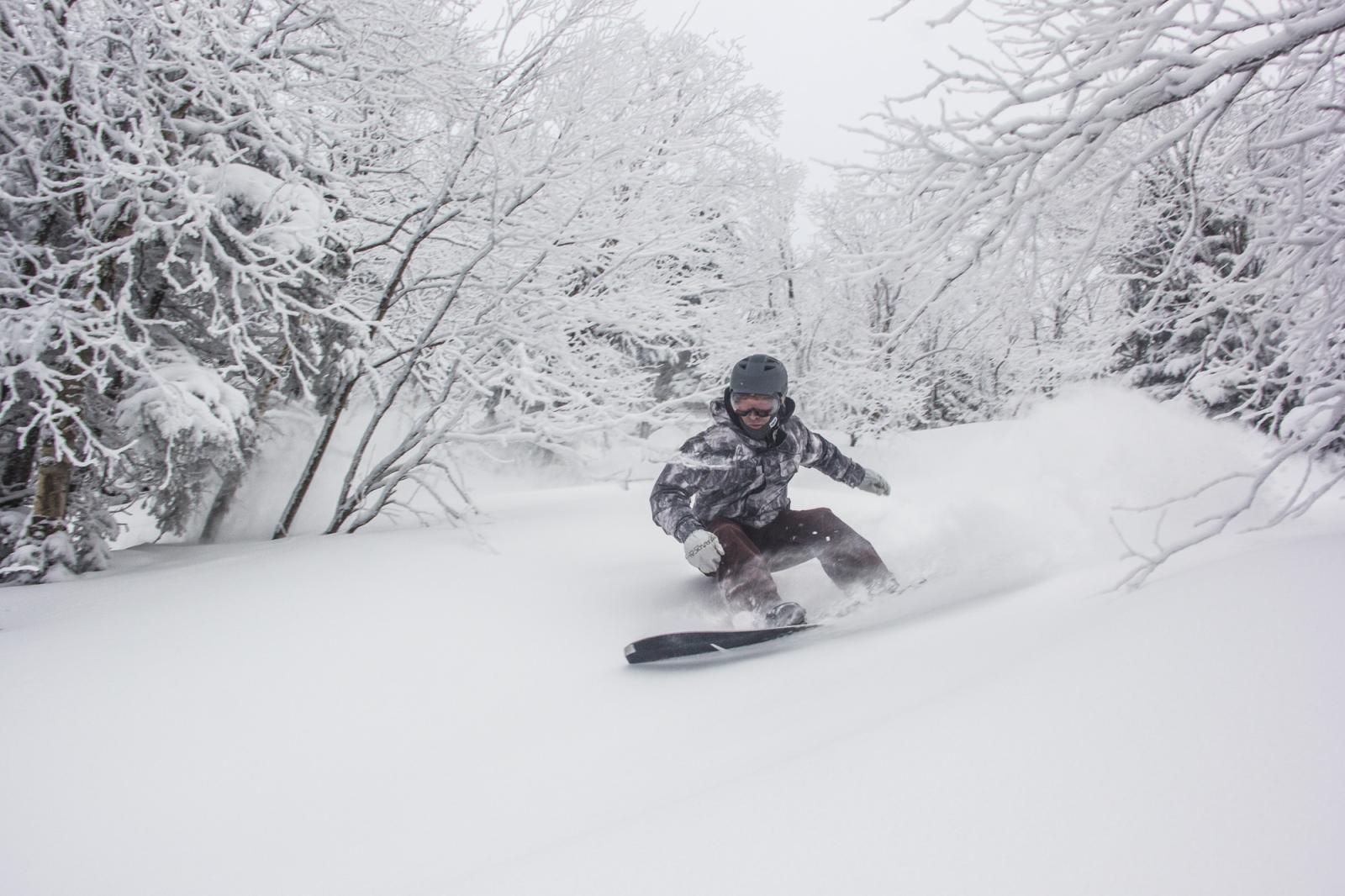 To tree or not to tree...?