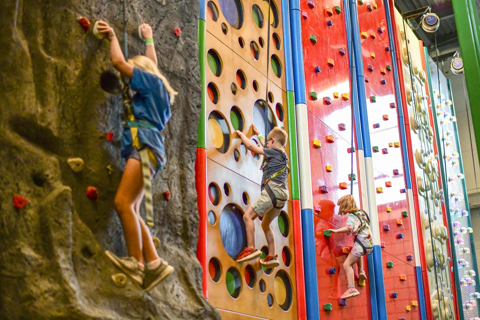 Up a wall with our Raised Jay Summer Campers.