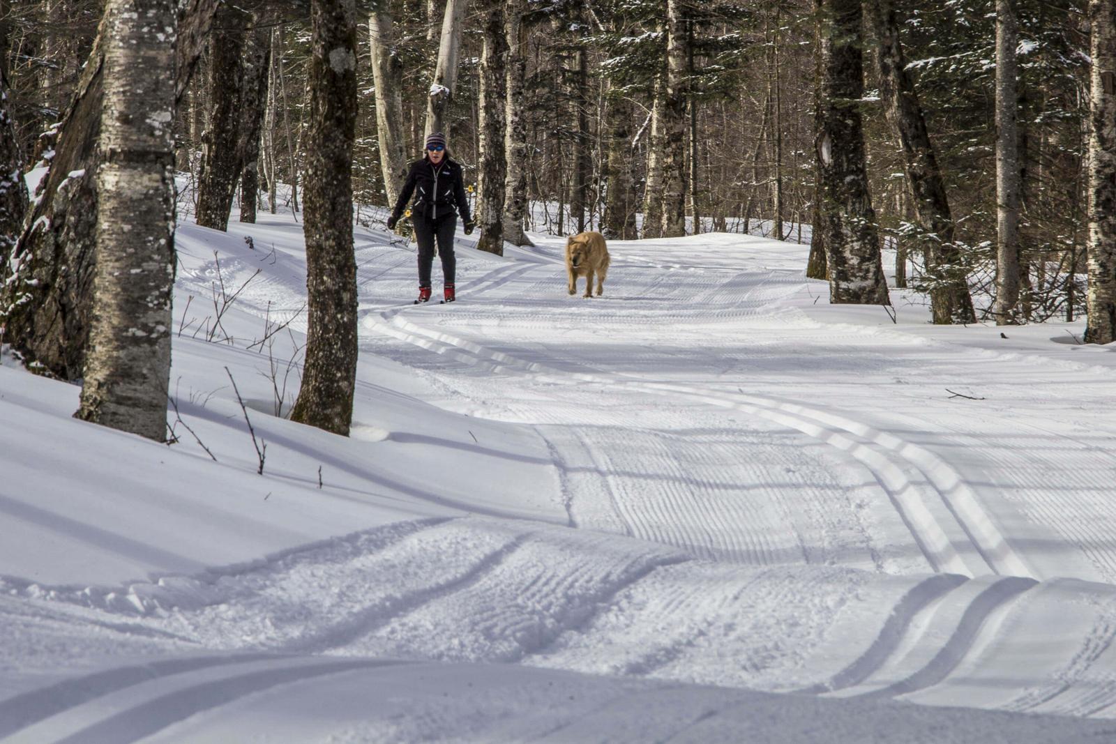 Nordic with dog