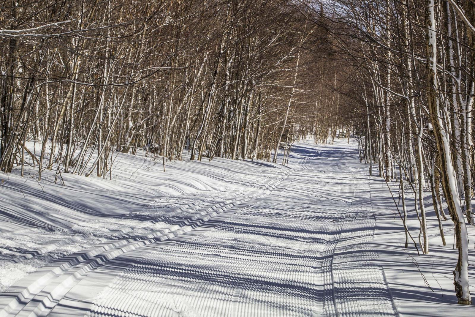 solo trail