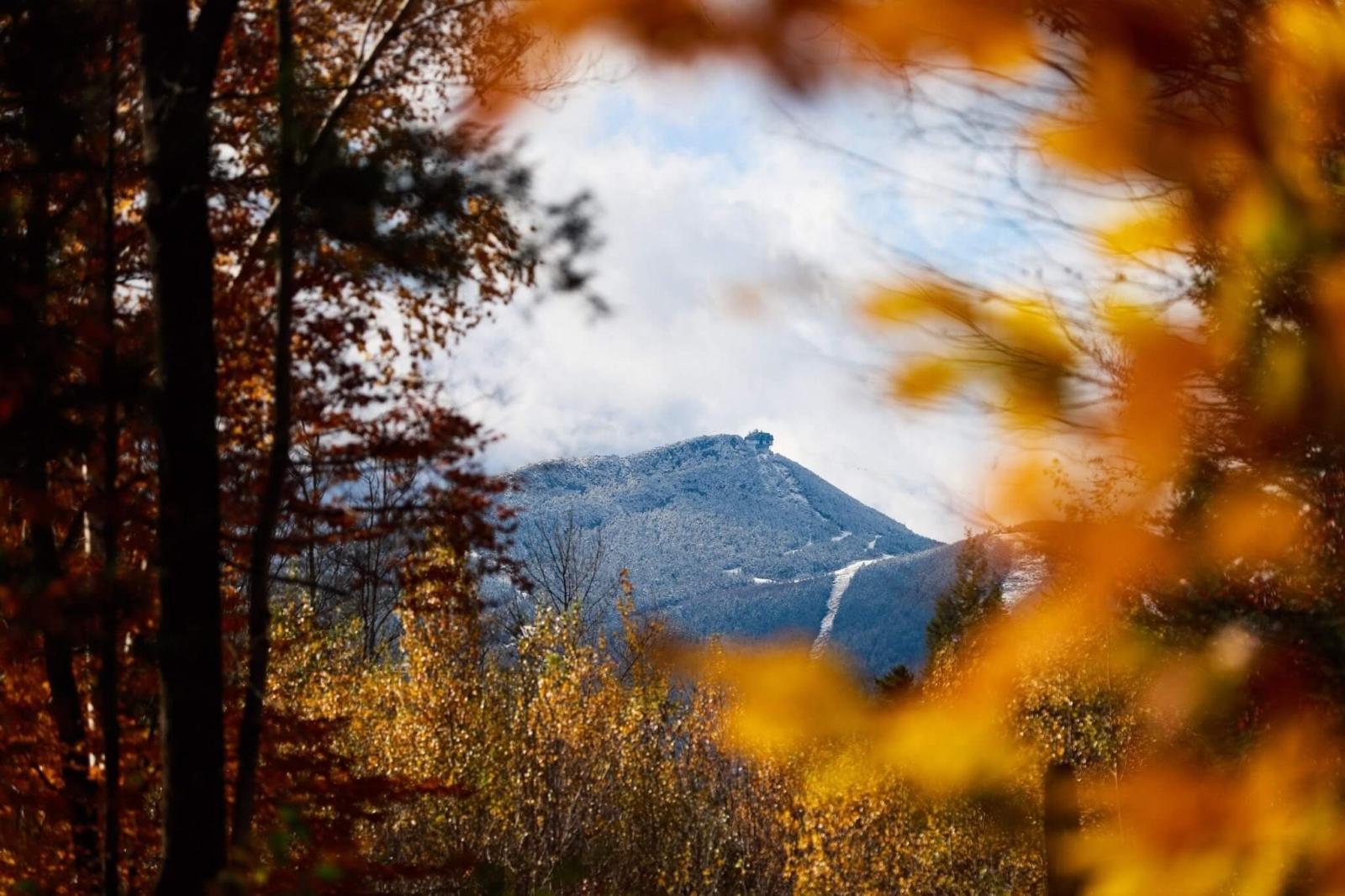 A beautiful capture of Saturday's first snow of the season, courtesy of Tate Johnson.