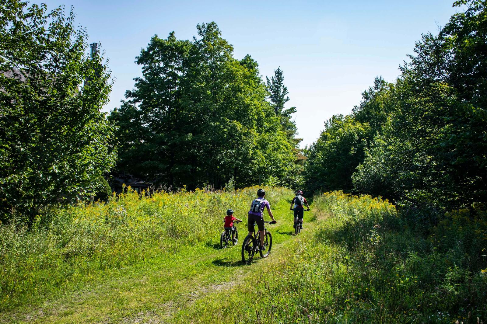 Mountain Biking