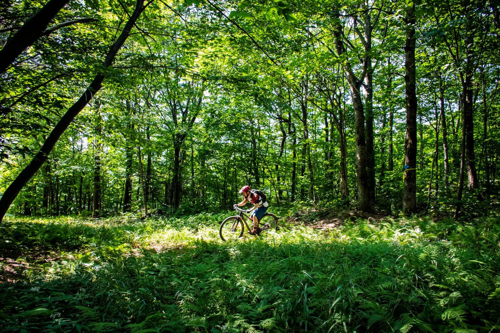 Mountain Biking