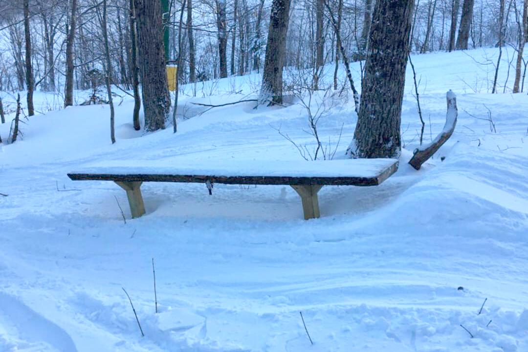 Rabbit Park