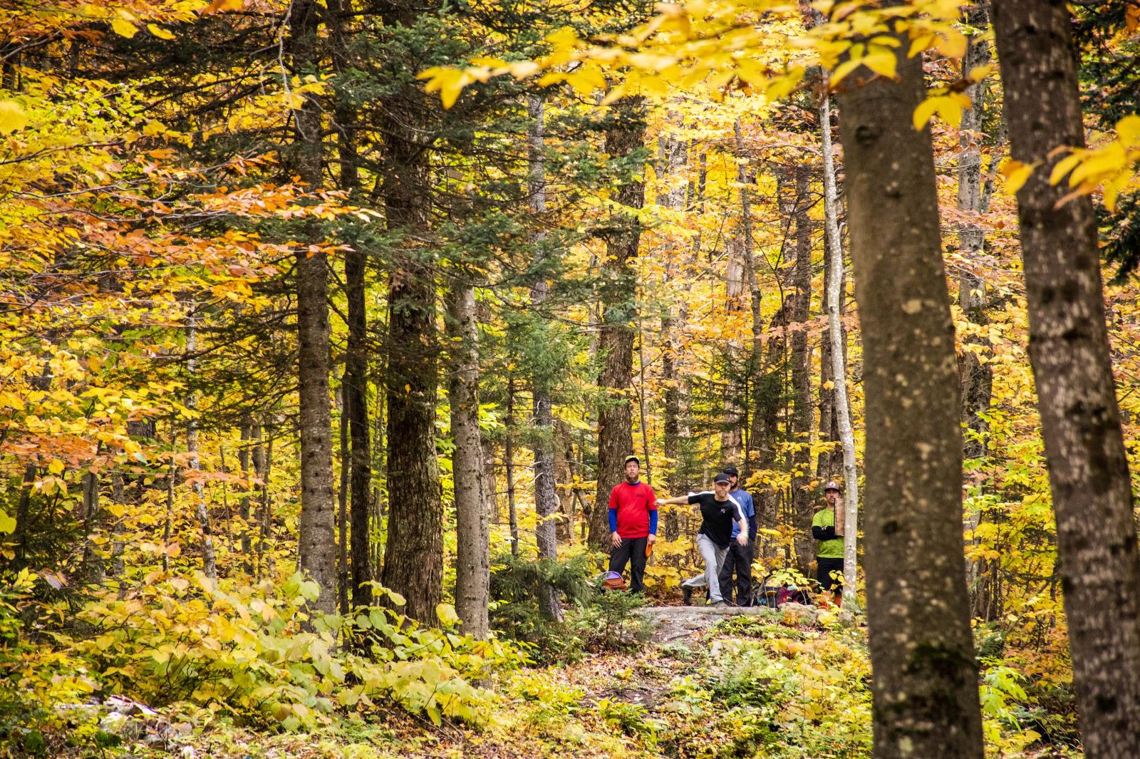 Disc Golf Course Fall