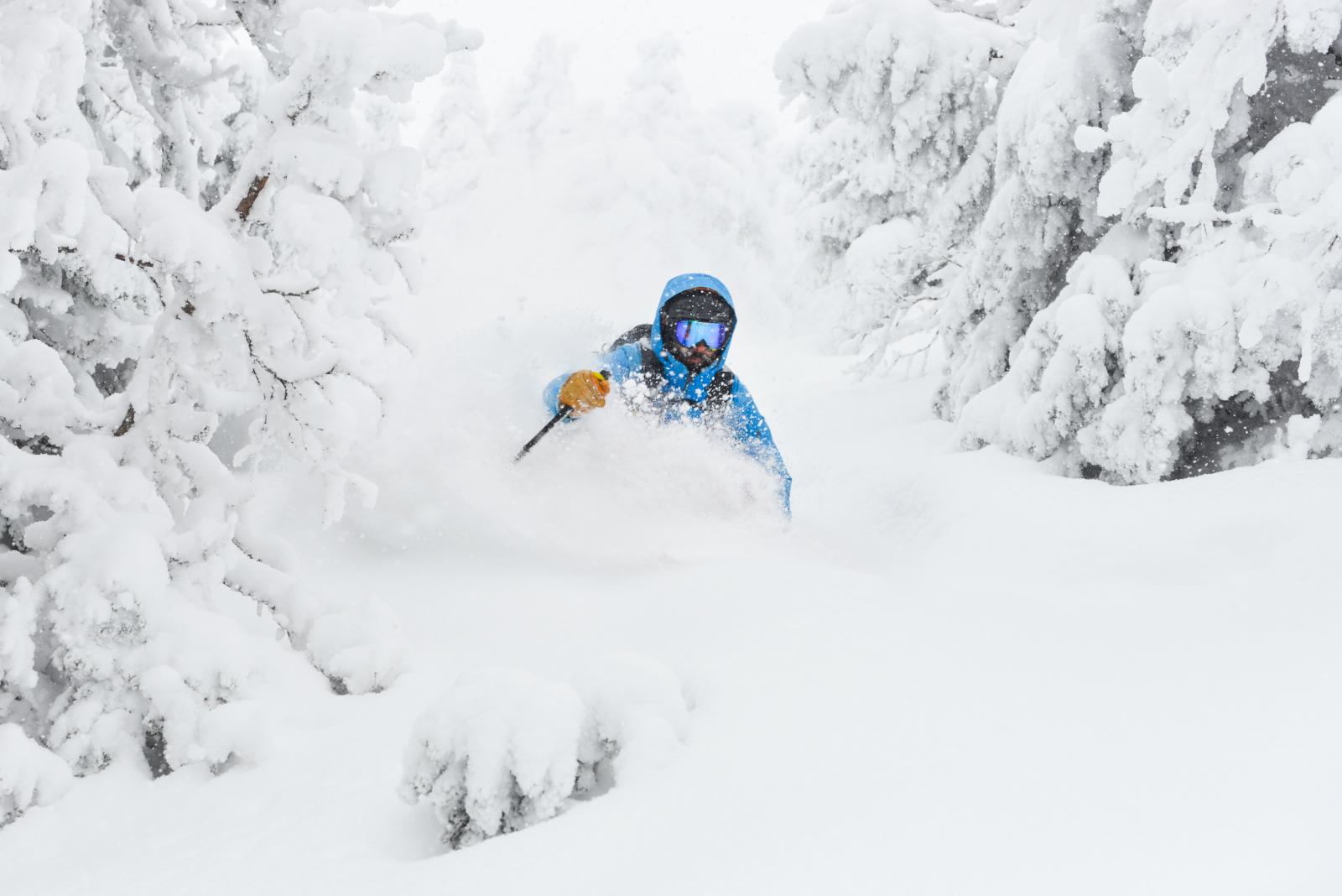 Skier