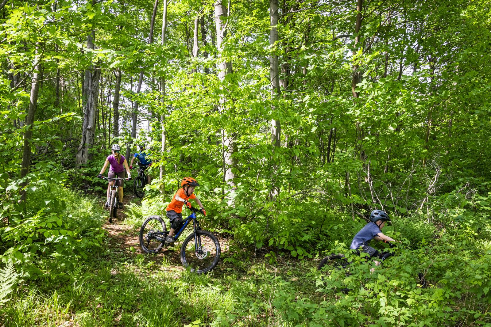 Mountain Biking Family Ride