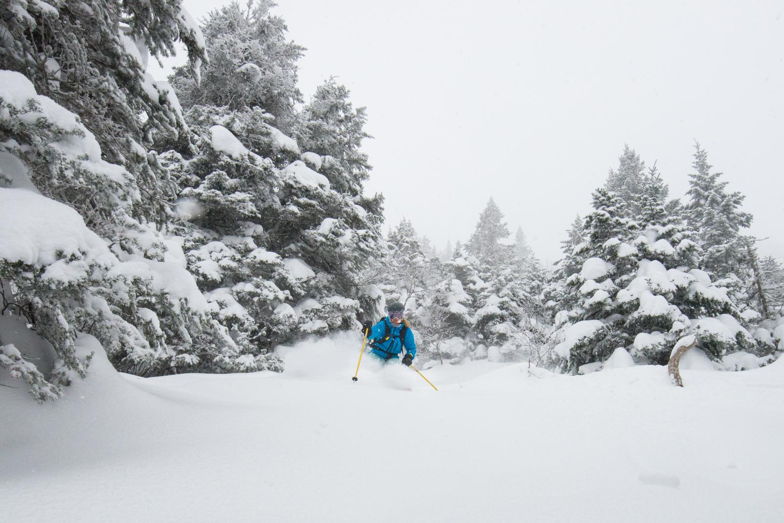 Amy Skiing