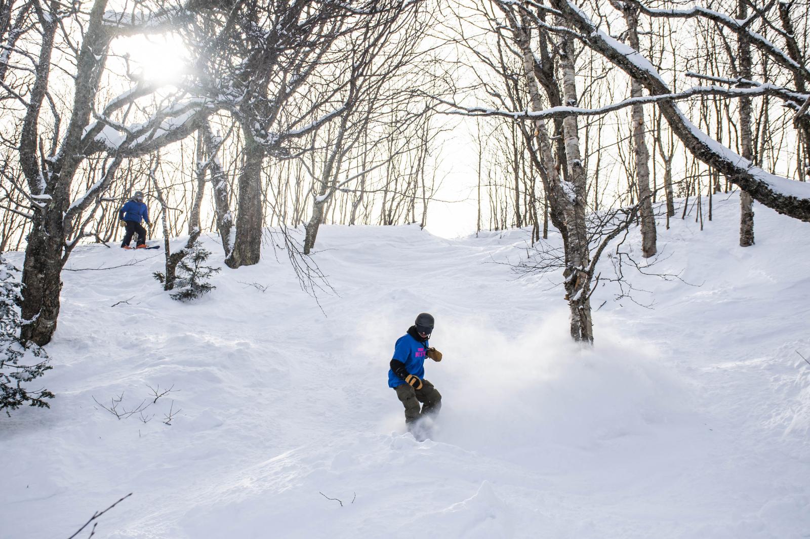 Snowboarder on powder in the trees