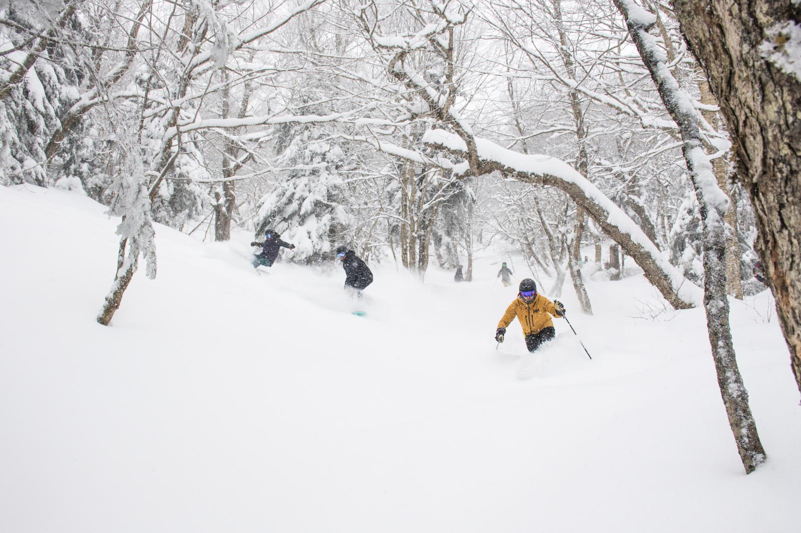 19 inches of fresh snow since Sunday, and it's going to keep snowing through Thursday, with more on the way this weekend.
