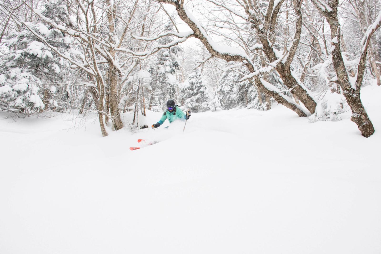 powder