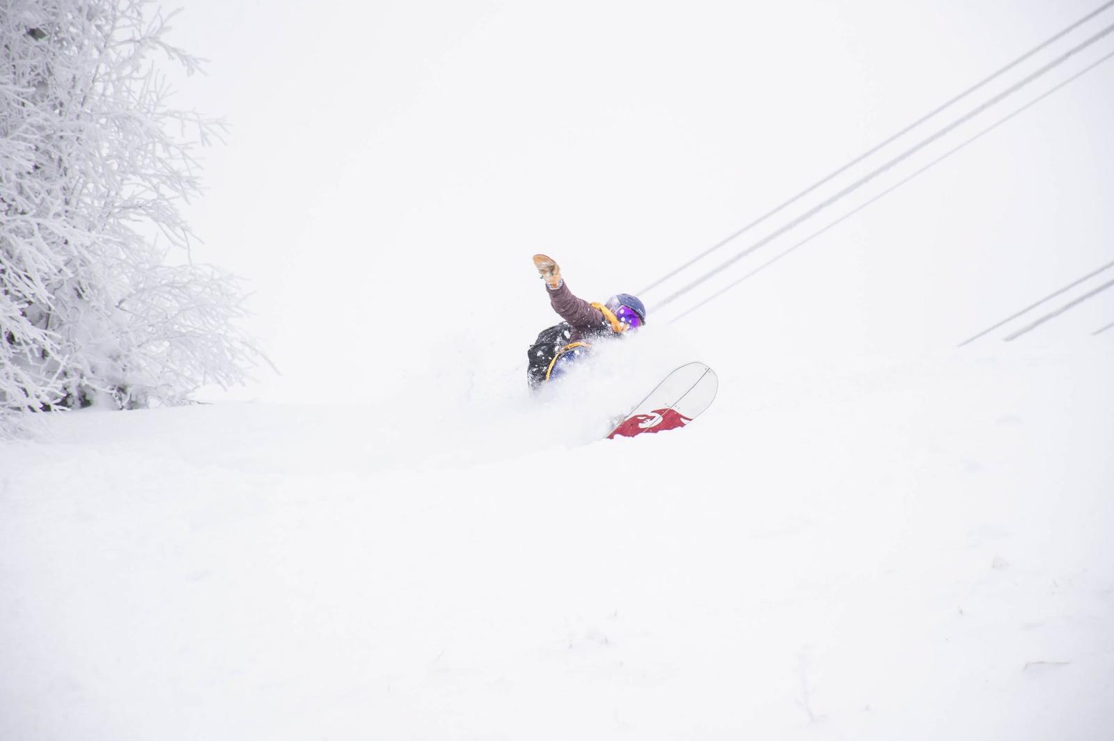 powder