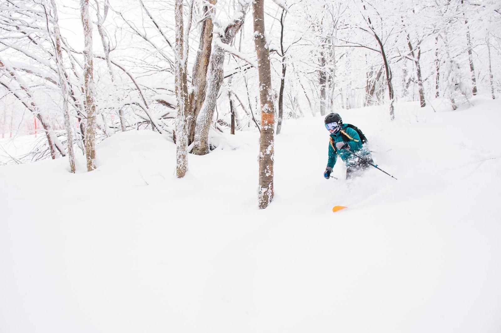 powder