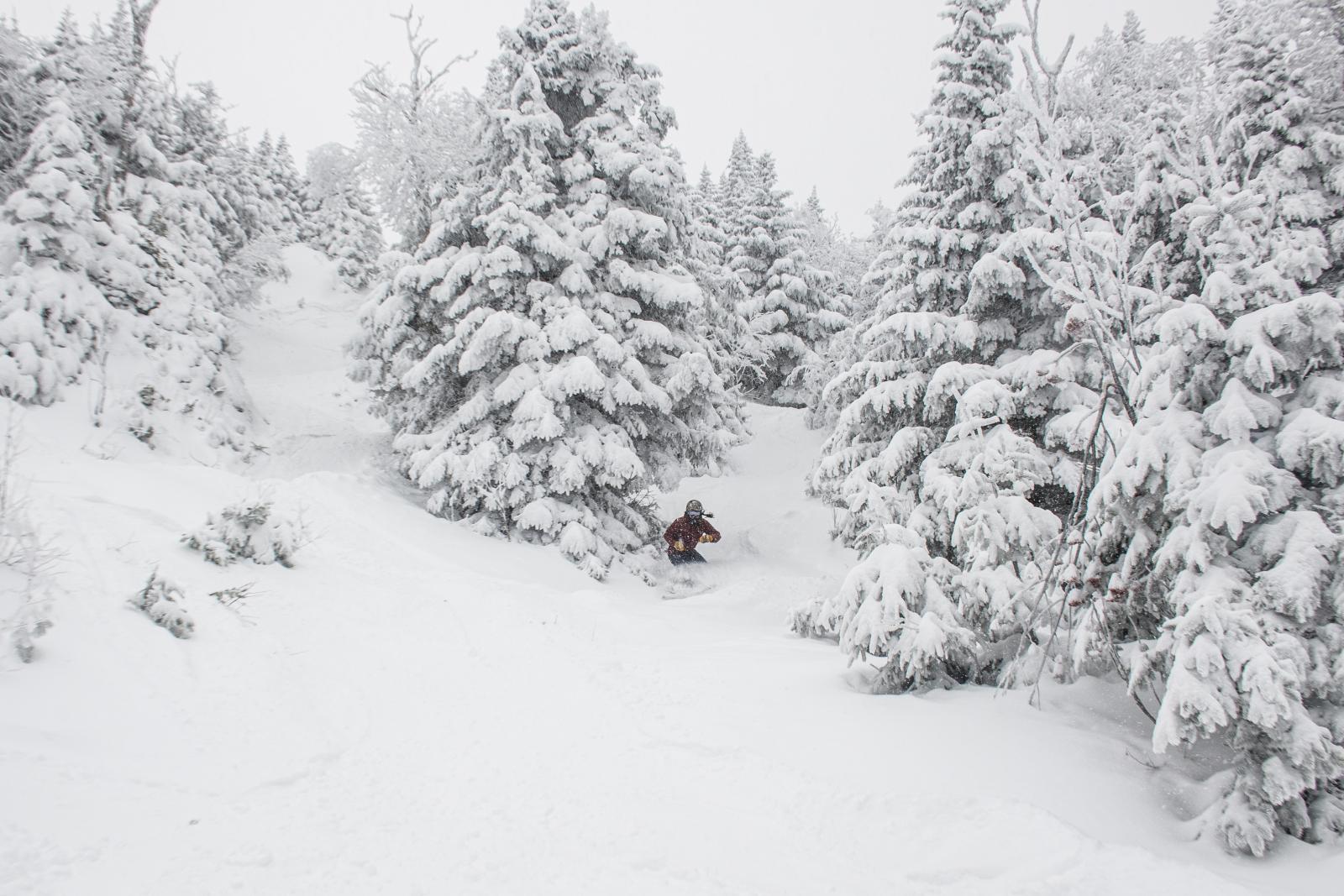 powder