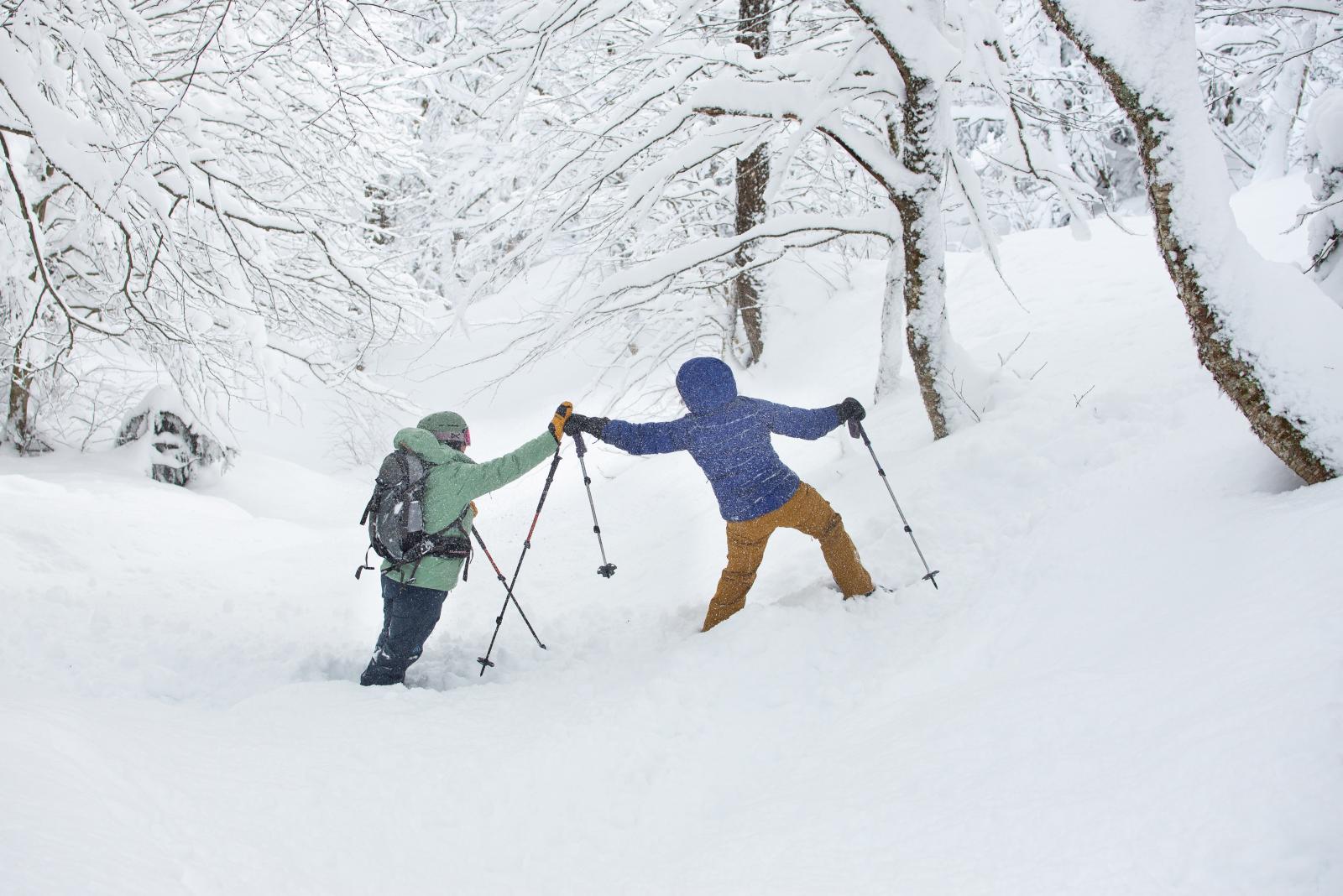 powder