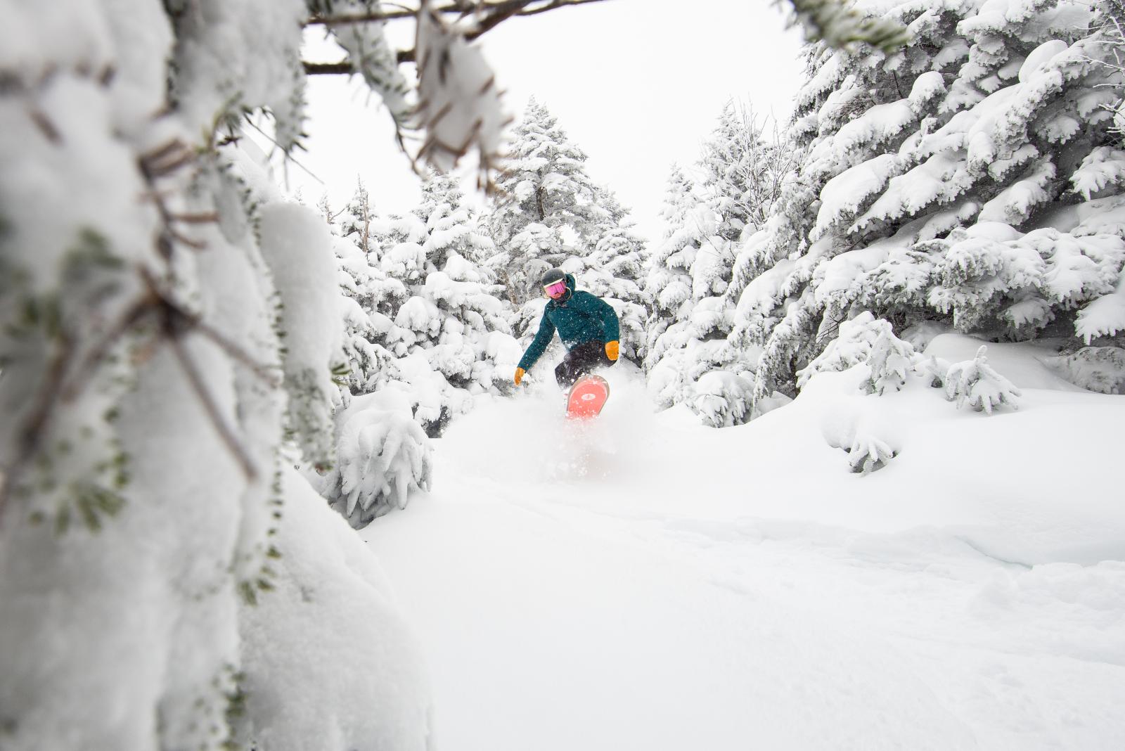 powder