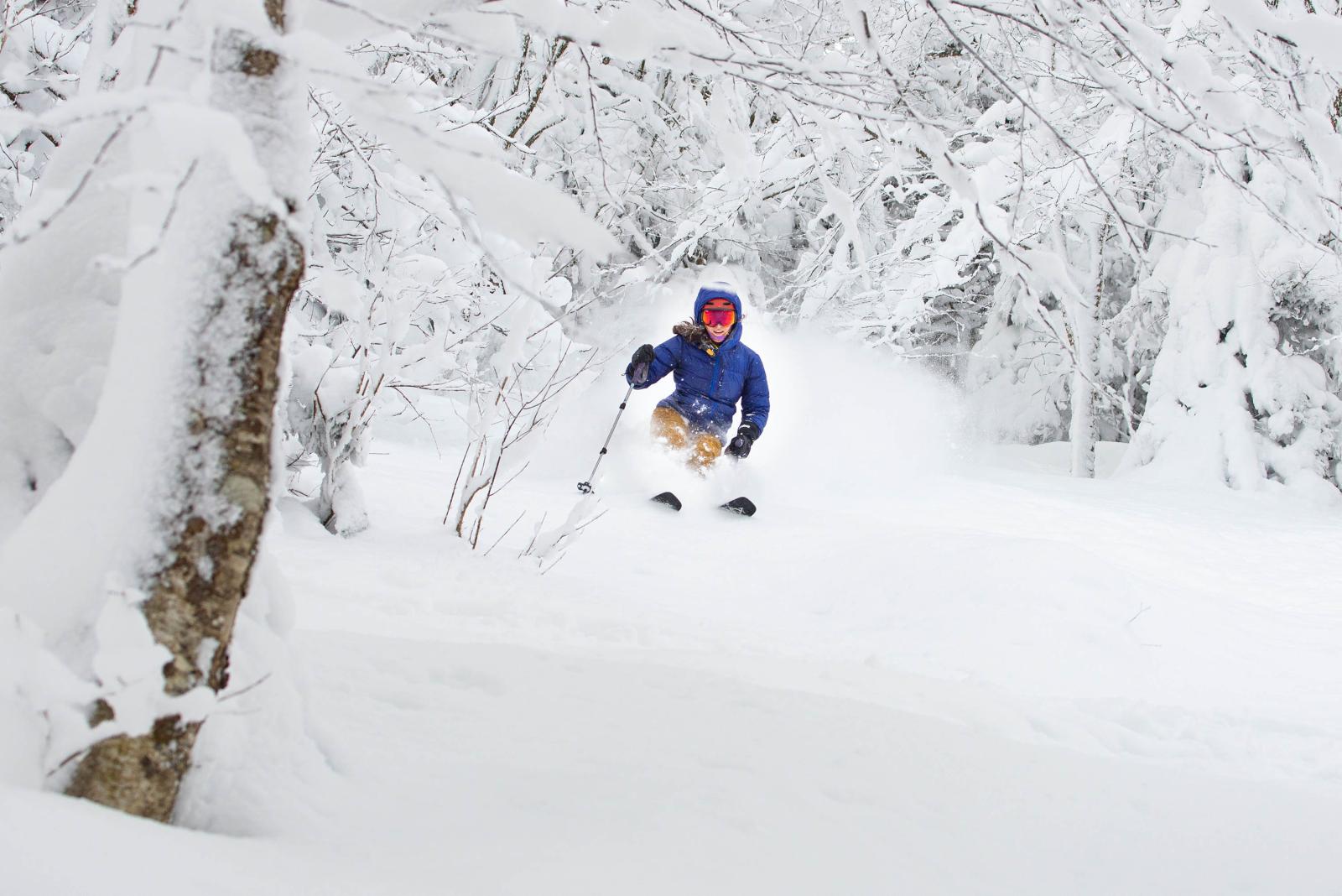 Female Powder Skier Beaver Pond Glade
