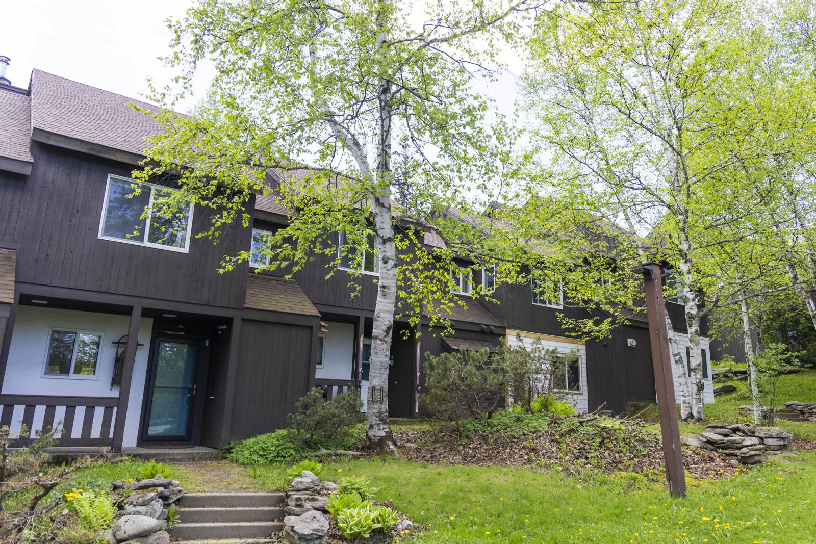 A row of brown townhouses with green trees and lawn.