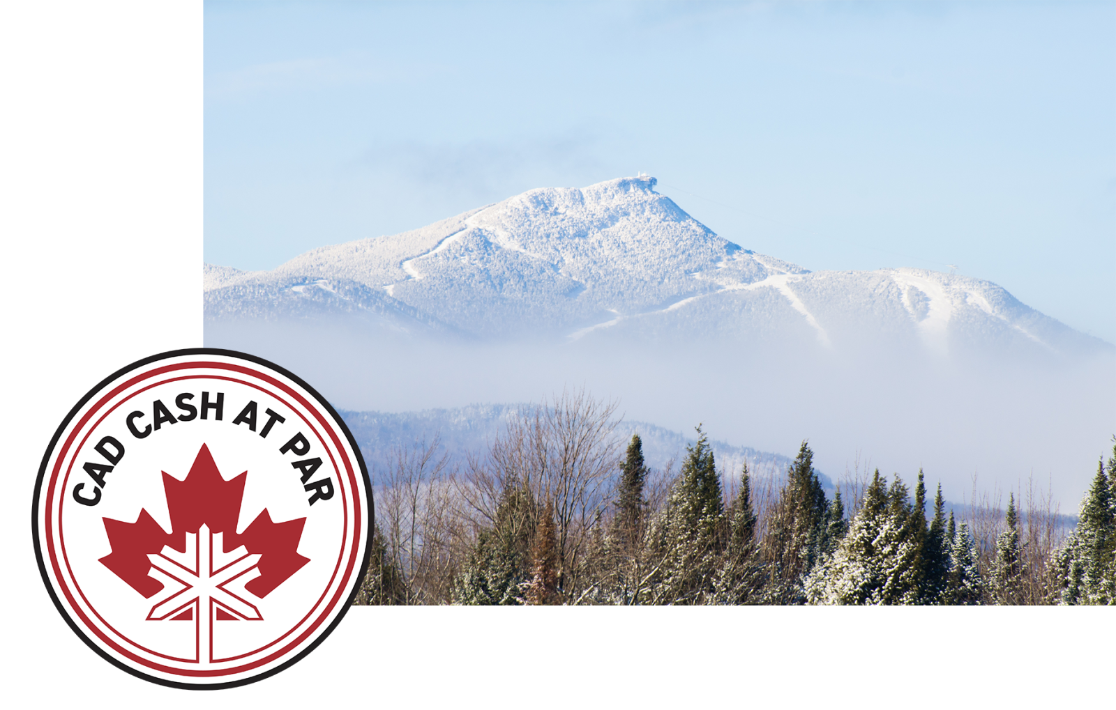 Snow-covered mountain with evergreen trees and a red and white circular logo.