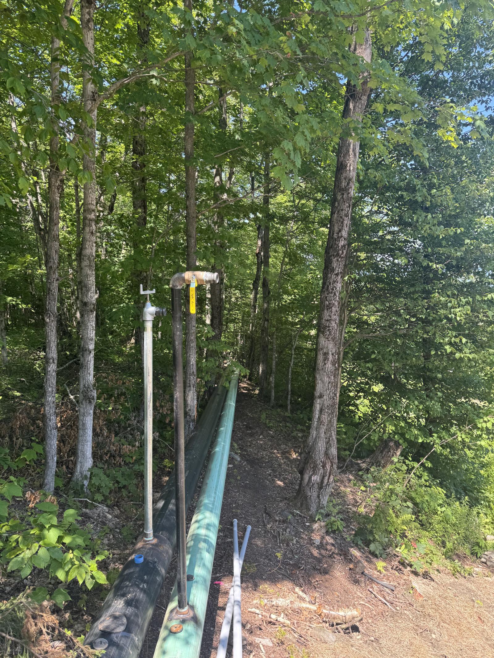 Tools on a rail in a wooded area, surrounded by green trees.