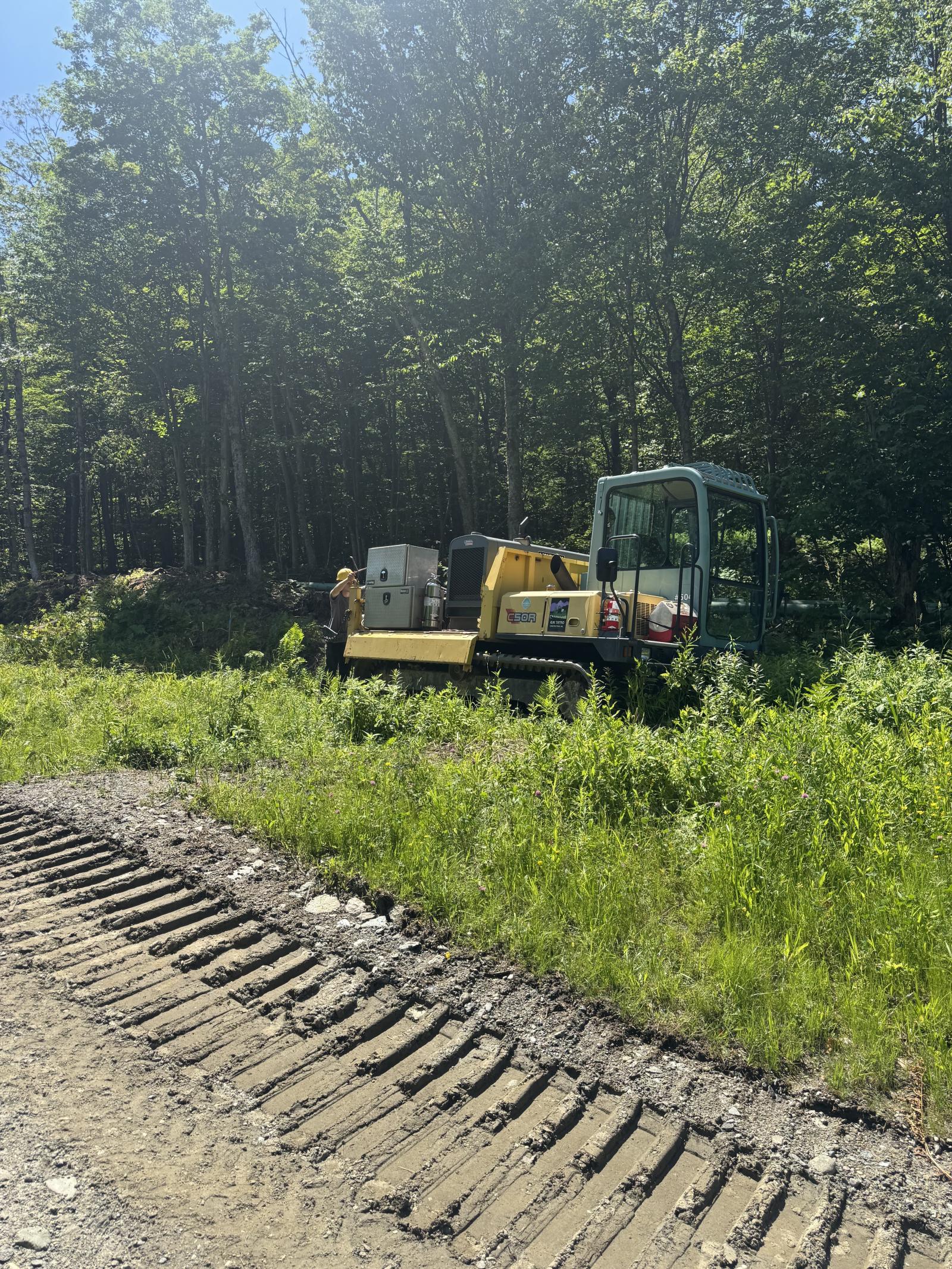 A yellow excavator parked in a grassy area near a forest.