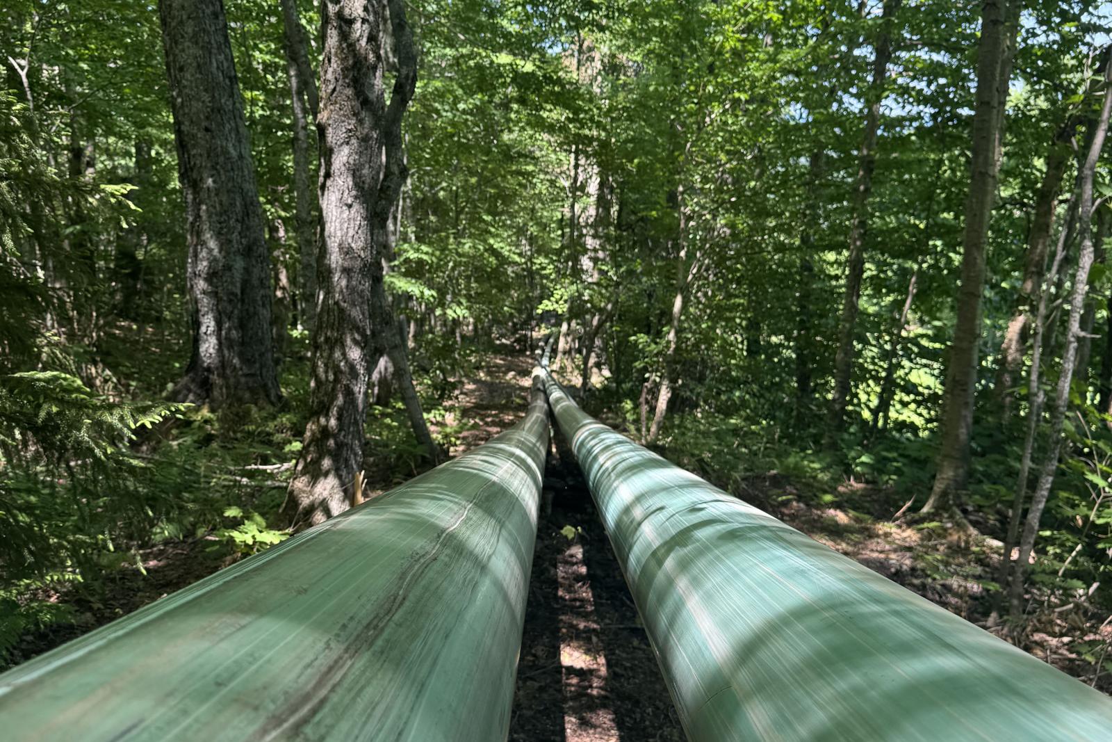 Two long green snowmaking pipes run through a dense forest.