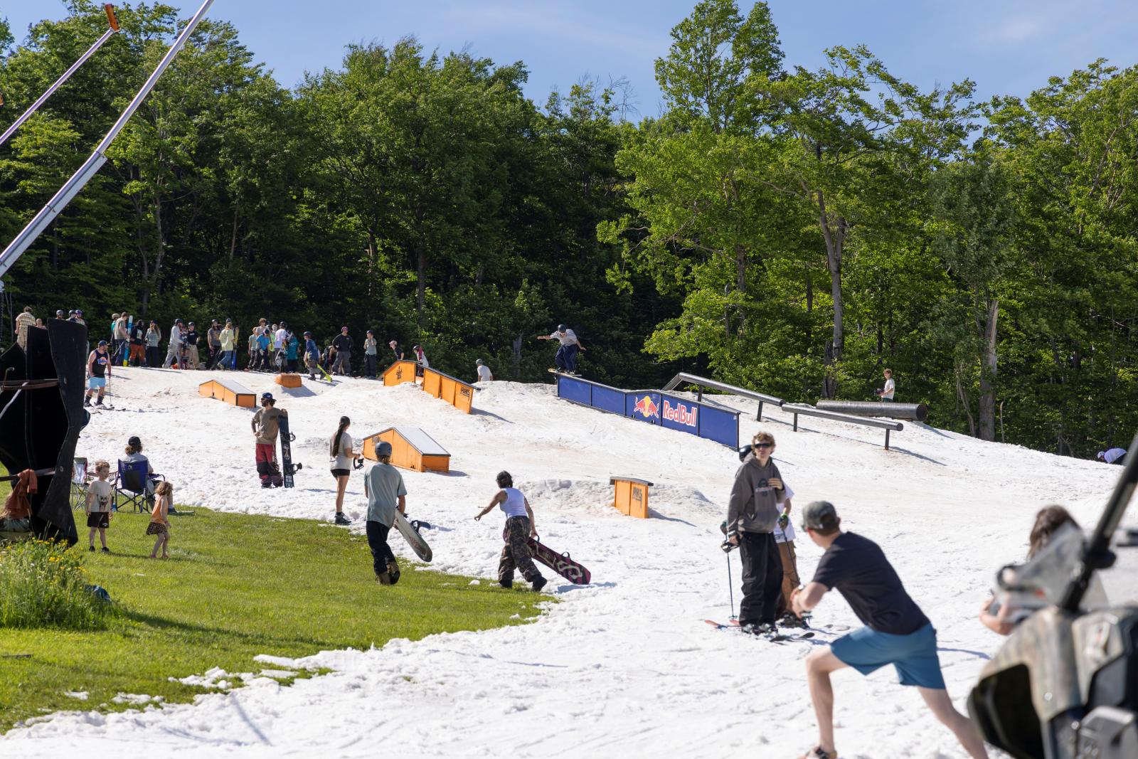 Skiers on a snowy slope with a green forest background.