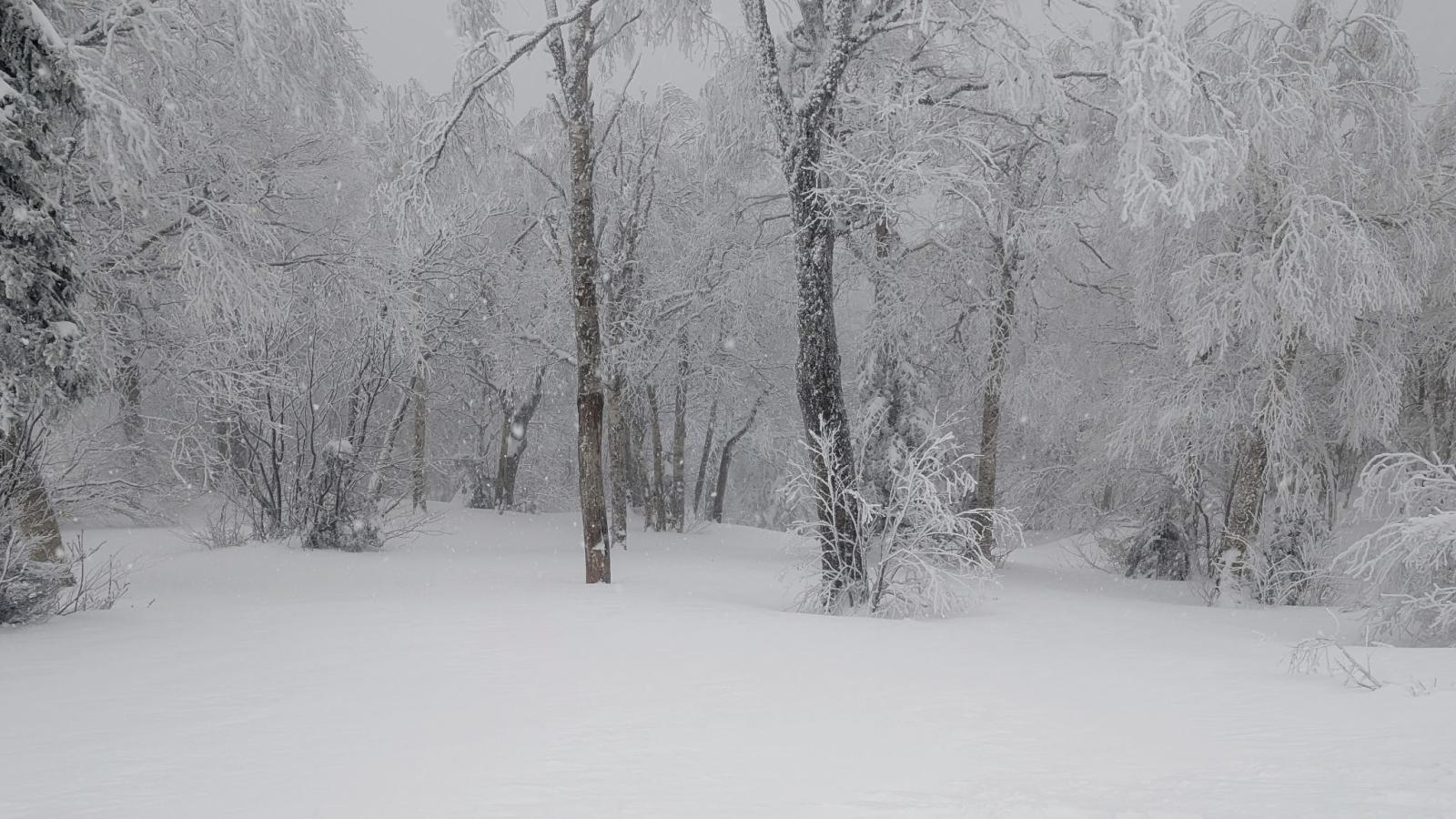 A November to Remember.