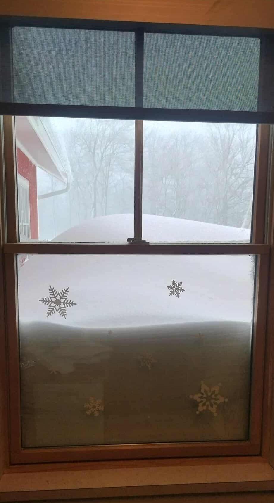 Early season blinds.