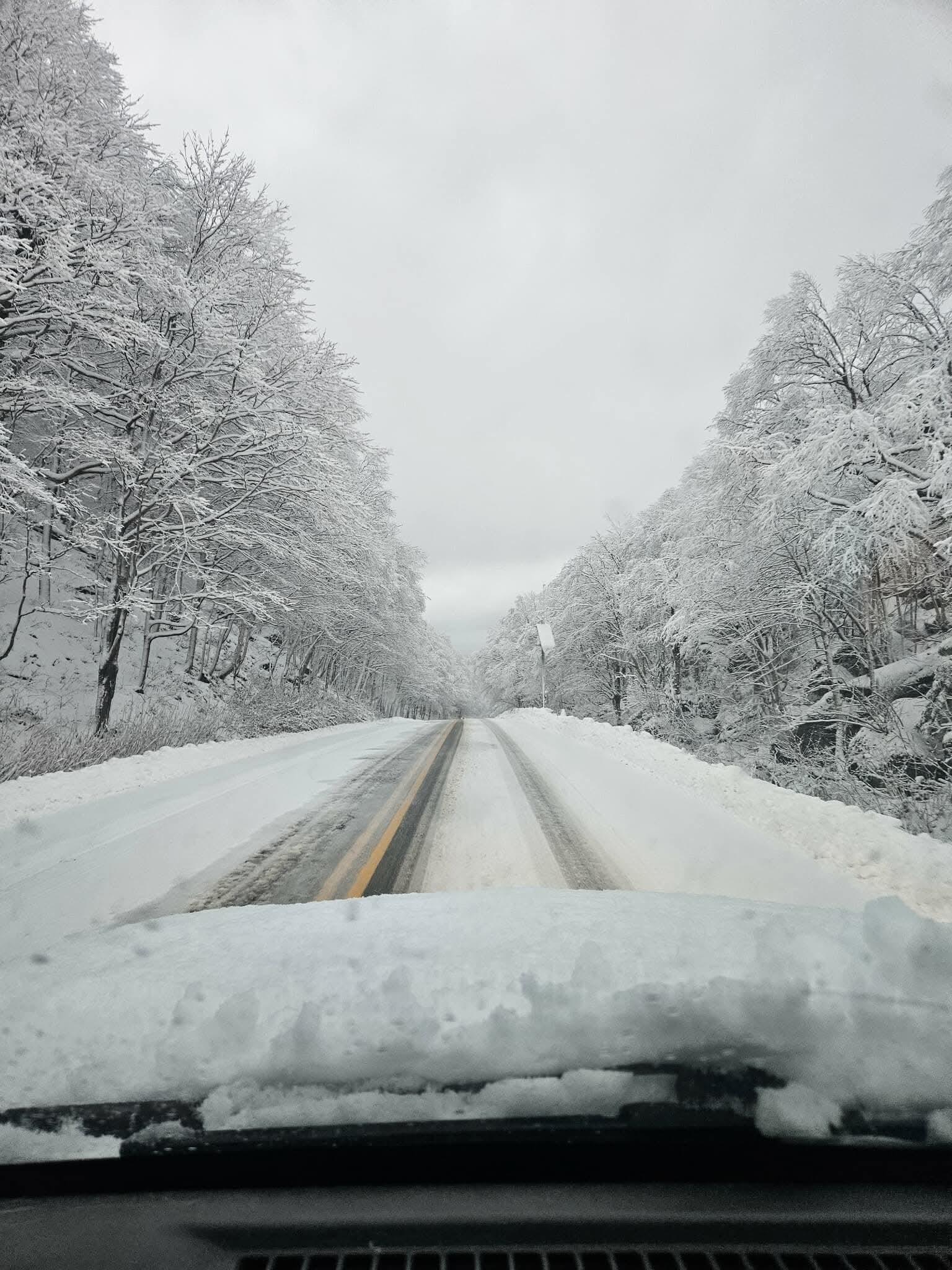 The road to winter looks good from here.