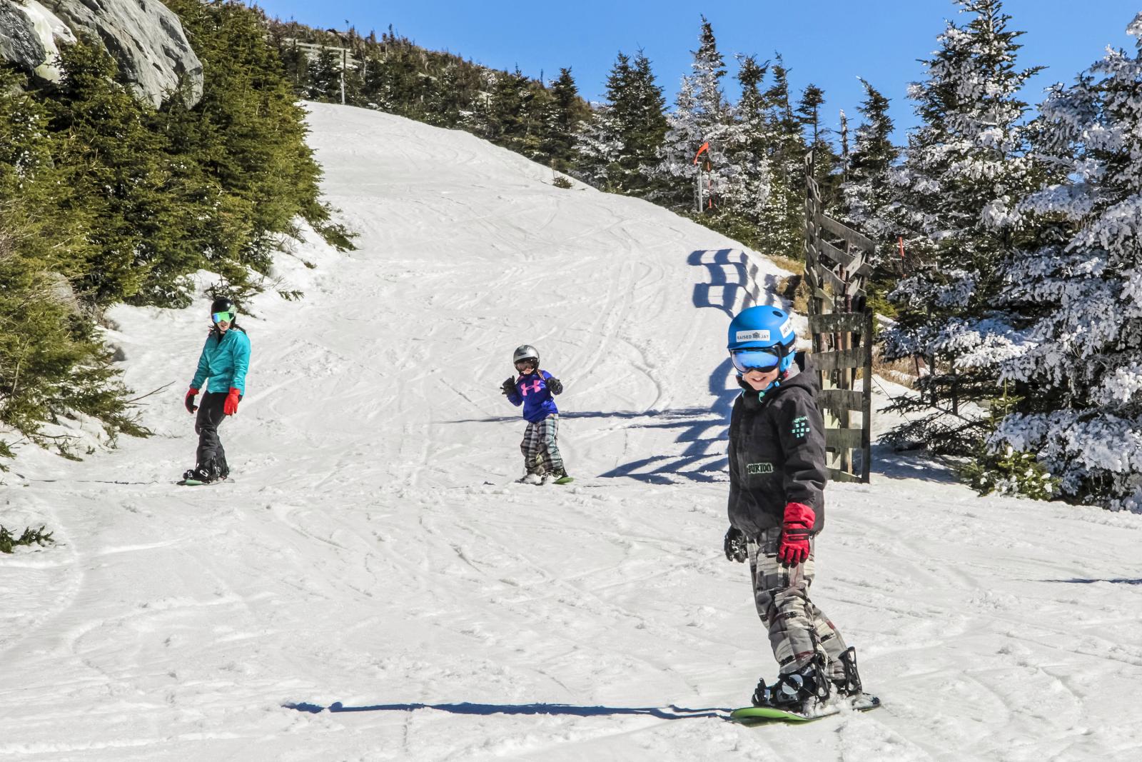 Skiers on a snowy slope with trees and clear blue sky.