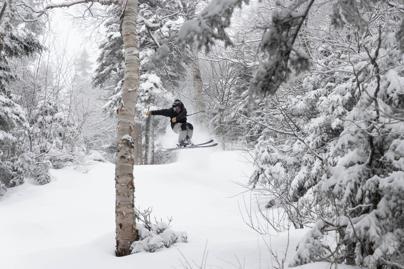 Dam good in Beaver Pond.