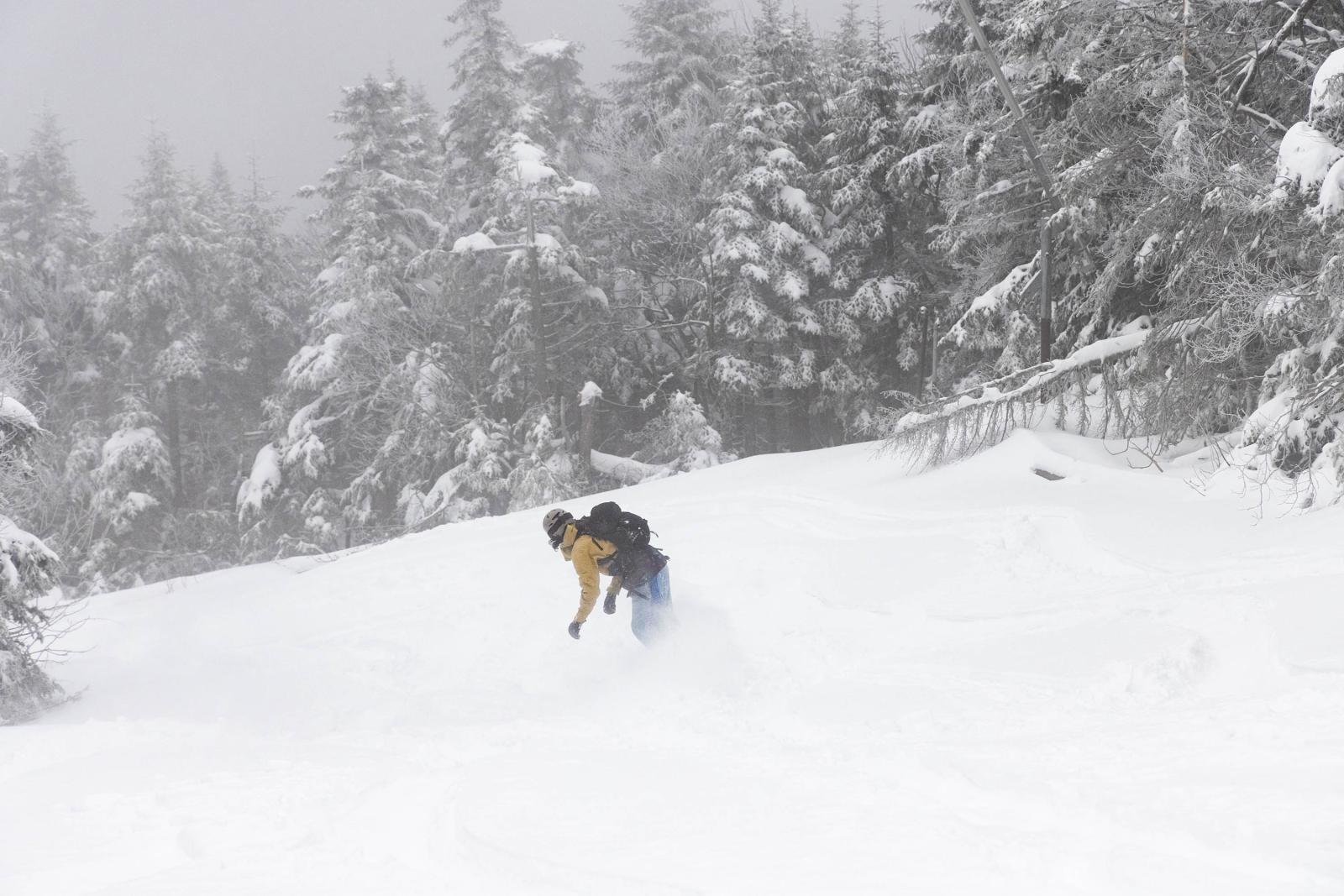 First tracks of the season.