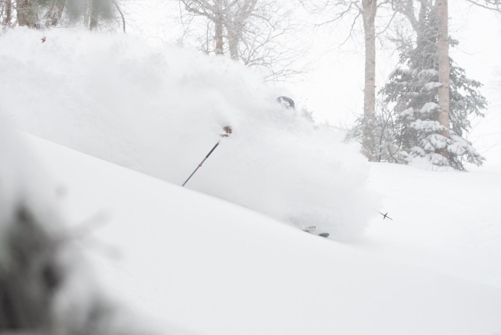 Nothing to see here...