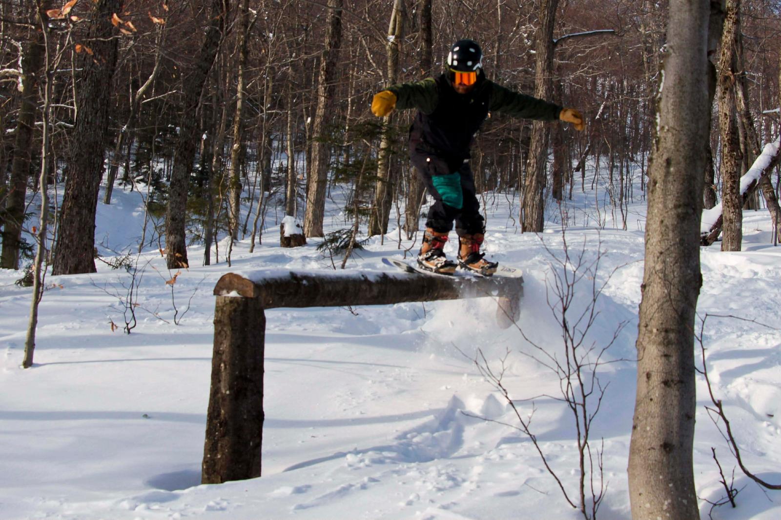 Gulley Woods Action.