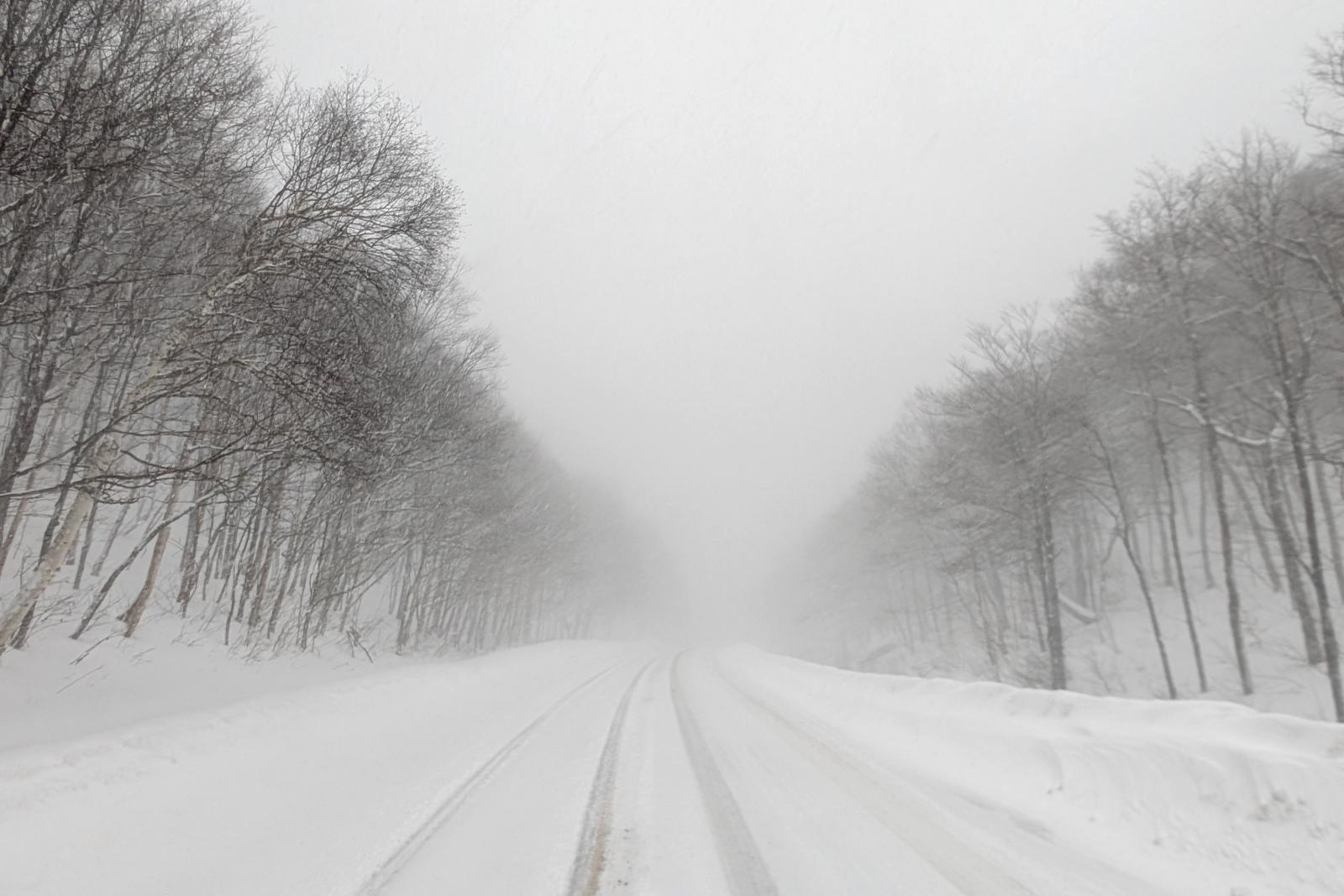 A fresh winter deluge, captured in the Dip this morning.