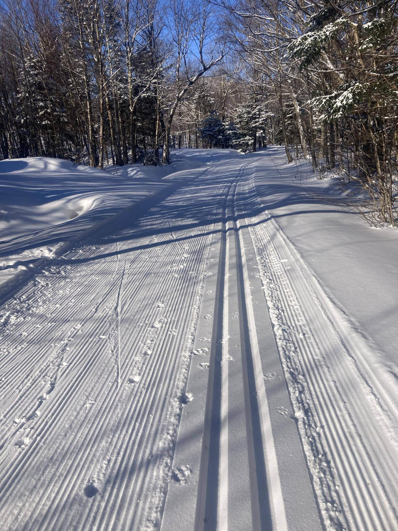 Nordic Trails 100% Open.