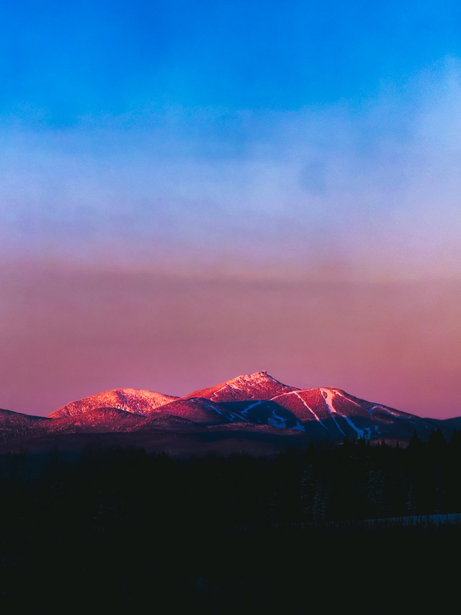 Pretty in Pink. Taken by Kyle Waterman.