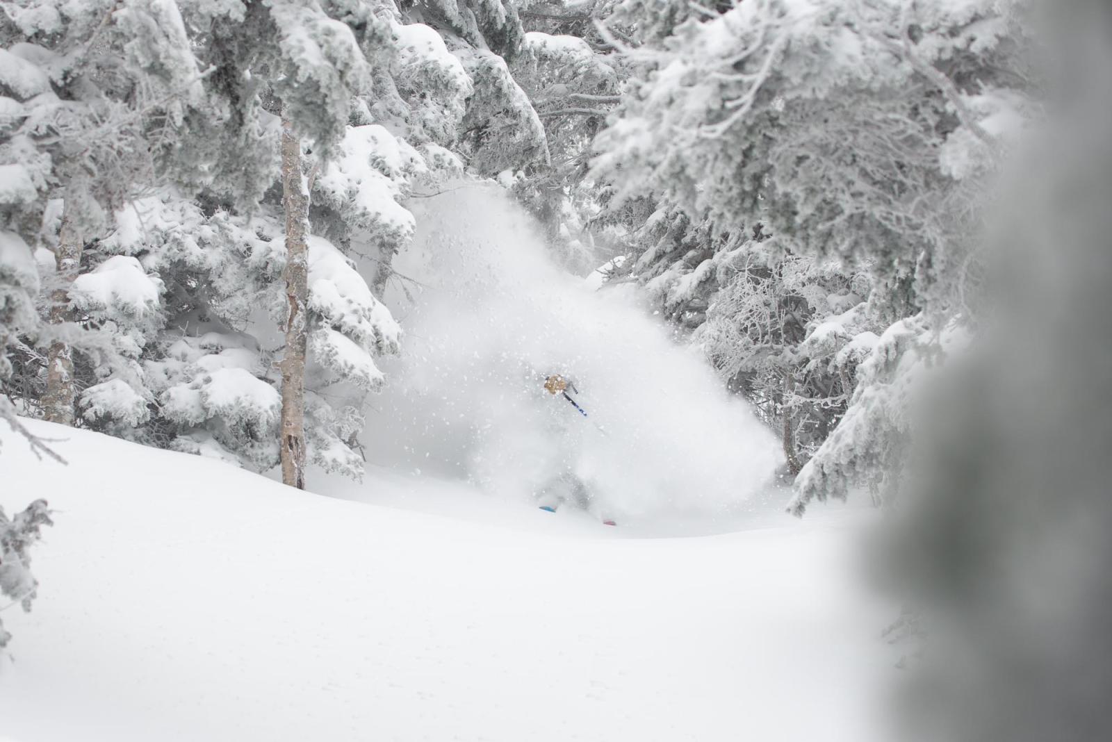 Dashing through the snow.