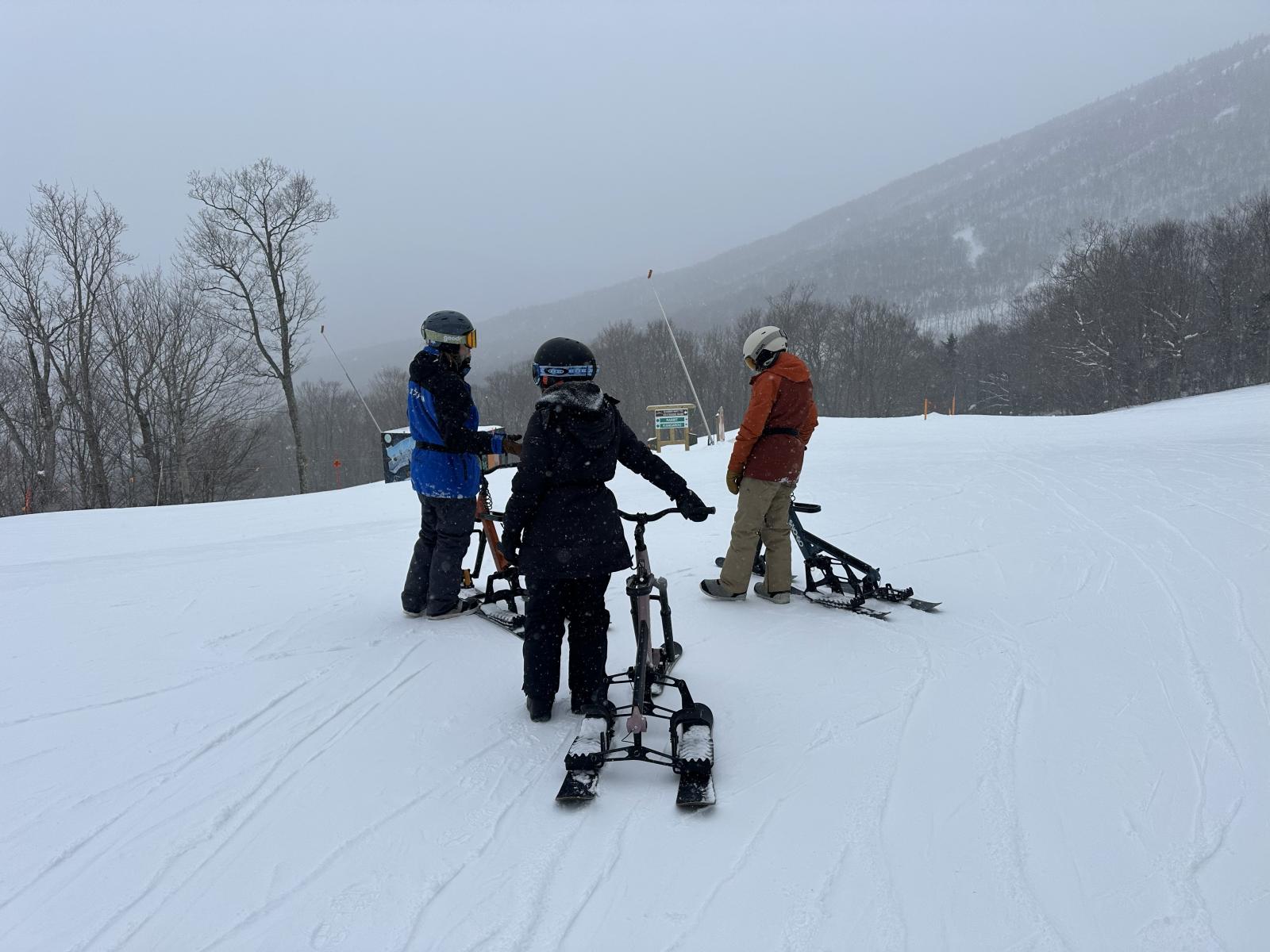 Looking for an alternative to skiing and snowboarding? Try our SnoGo tours.