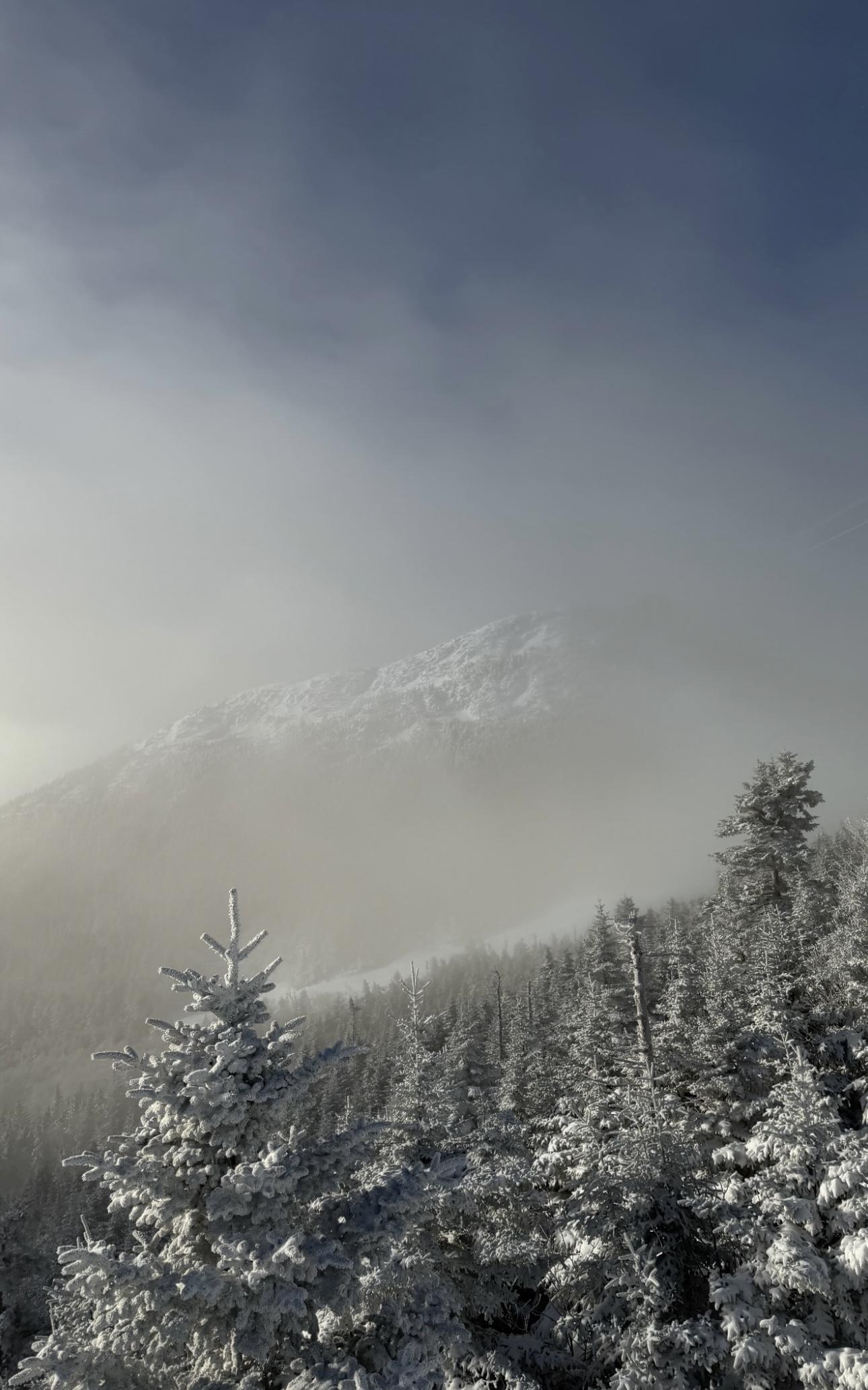 Misty Peak. by Bunger Sayville.