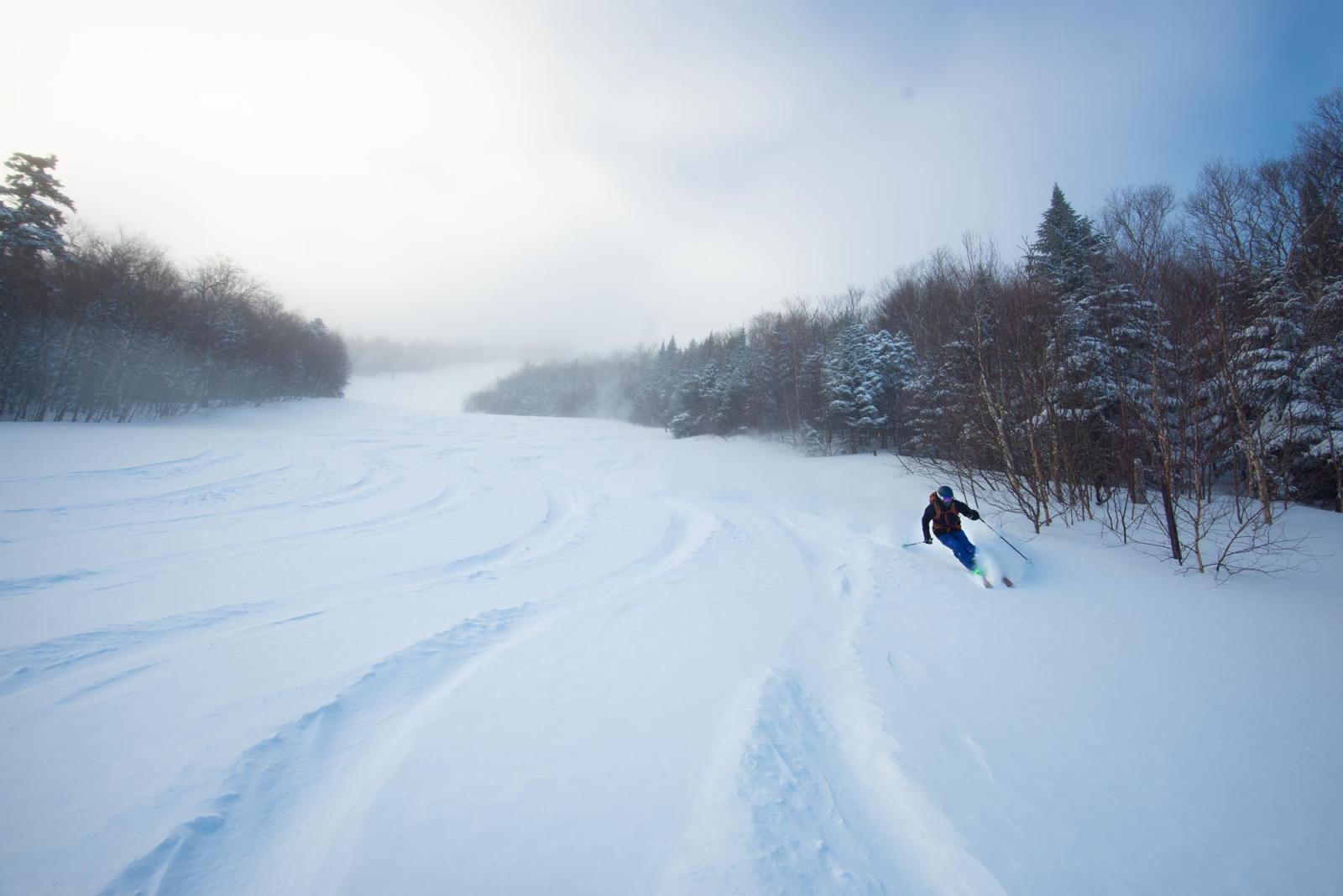 Planting Turns. Harvesting Snow.