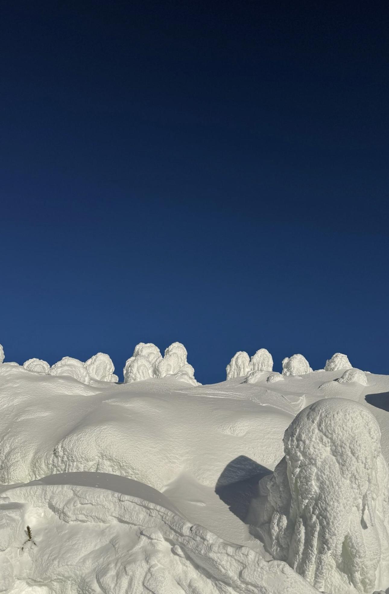 Summit Moon Landing.