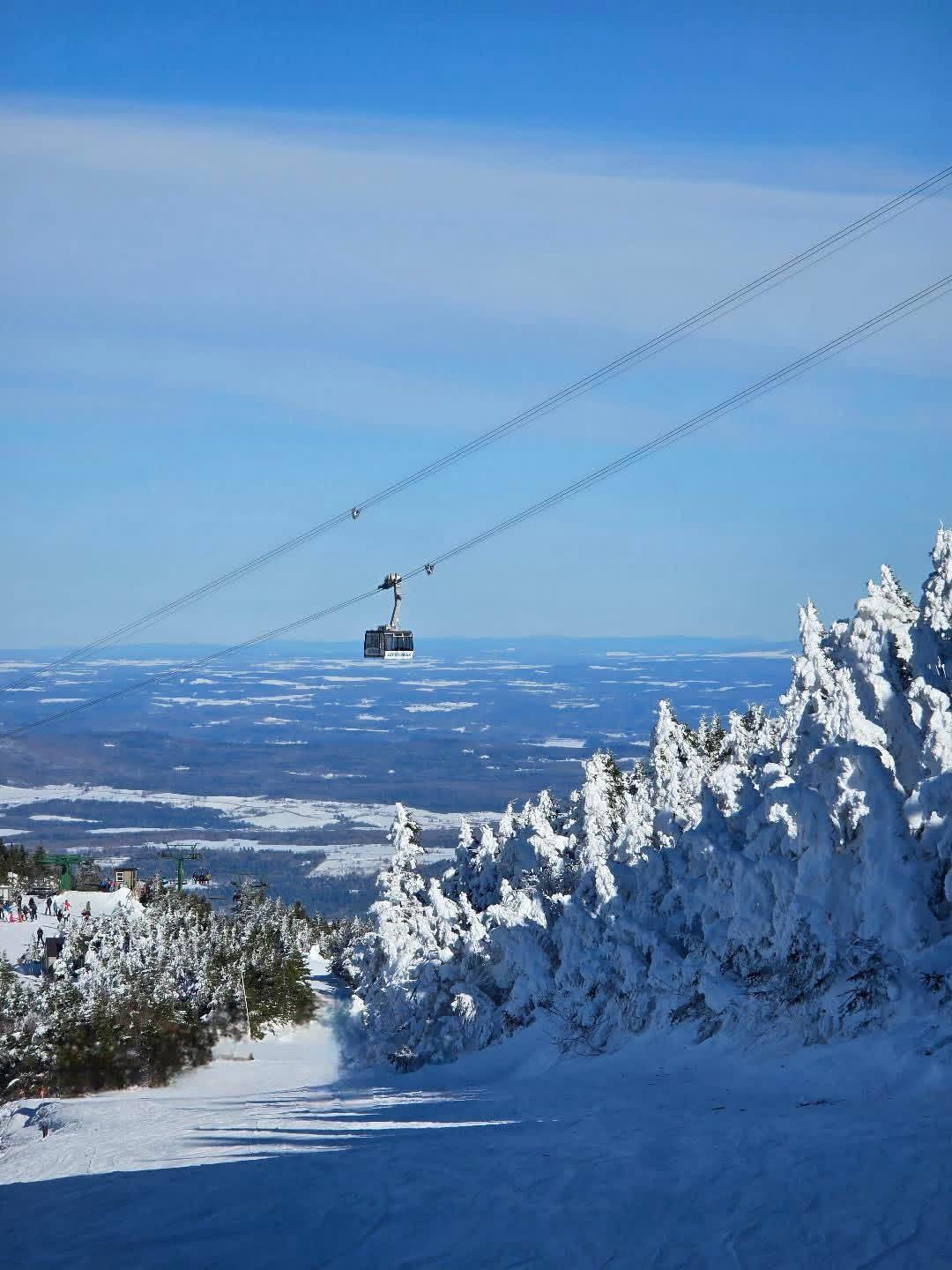 Bluebird by Charley Thorn Sr.