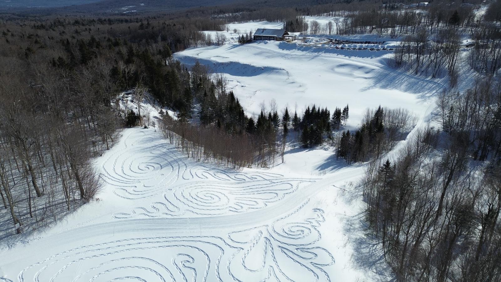 Snow-covered landscape with artistic patterns and scattered trees.